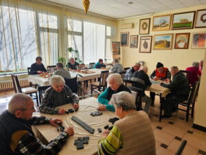 цхесс-домино