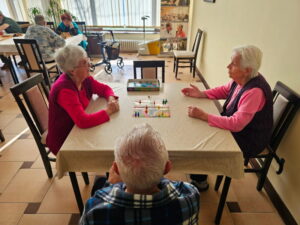 цхесс-домино