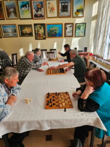 цхесс-домино