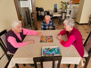 цхесс-домино