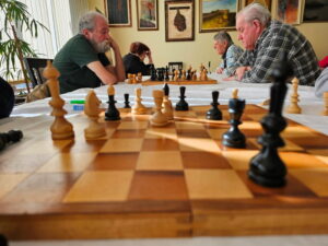 цхесс-домино