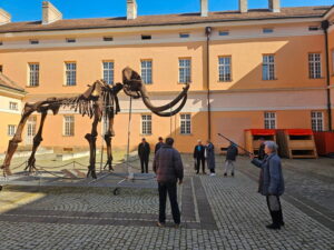 Краљица Драга