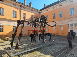 Краљица Драга