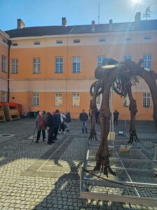 Краљица Драга