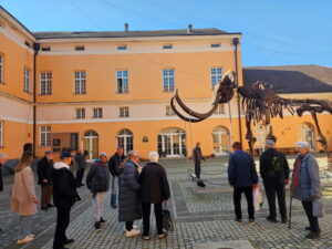 Краљица Драга