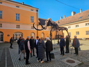 Краљица Драга