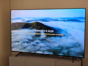Музеј Кикинда